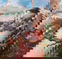 Oakvale Wildlife Park - Foster Accommodation