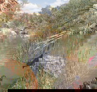 Palm Springs - Foster Accommodation