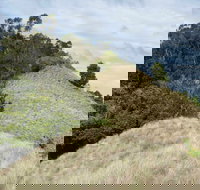 Pieries Peak Walking Track - Foster Accommodation