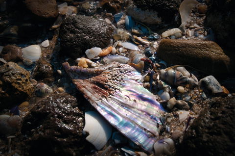 Point Cook Marine Sanctuary - Foster Accommodation 1