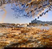 Rennix walking track - Foster Accommodation