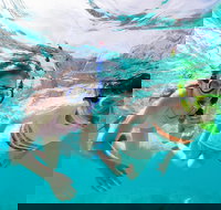 Snorkel Hat Head Creek - Foster Accommodation