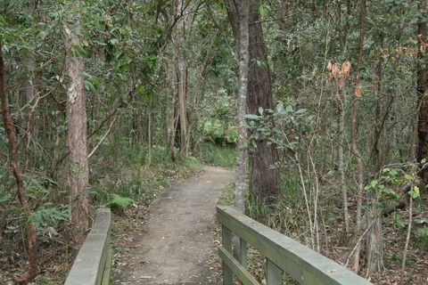 Springwood Conservation Park - Foster Accommodation 0