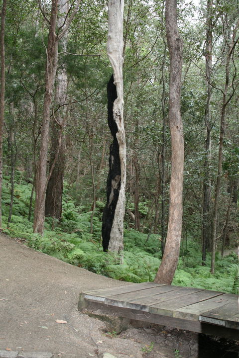Springwood Conservation Park - Foster Accommodation 1