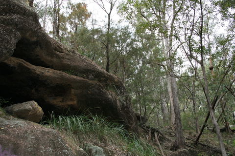 Springwood Conservation Park - Foster Accommodation 2