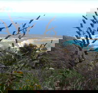 Strzelecki Peaks Great Short Walk - Foster Accommodation