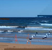 Surf Beach Batemans Bay - Foster Accommodation