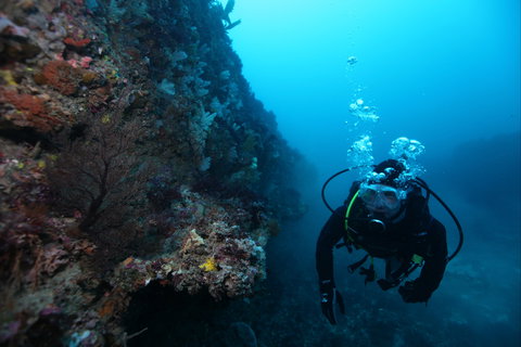 Twelve Apostles Marine National Park - Foster Accommodation 0