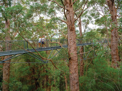 Valley Of The Giants Tree Top Walk - Foster Accommodation 1