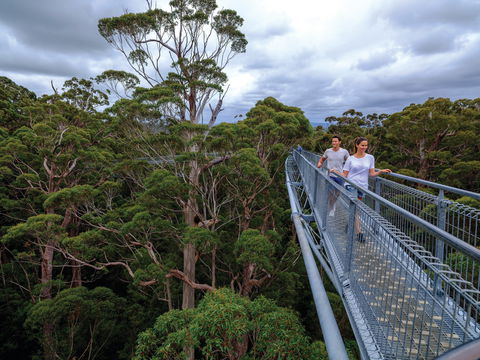 Valley Of The Giants Tree Top Walk - Foster Accommodation 2