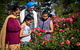 Victoria State Rose Garden At Werribee Park - thumb 0