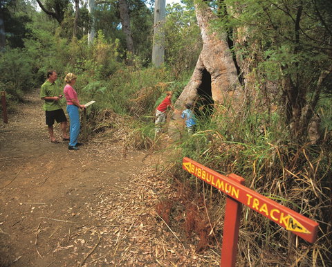 Walpole-Nornalup National Park - Foster Accommodation 1
