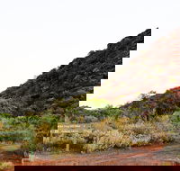 Whyalla Conservation Park - Foster Accommodation
