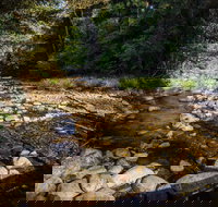 Wilson River picnic area - Foster Accommodation