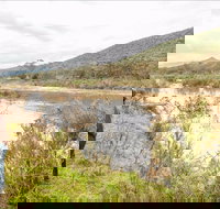 Willis picnic area - Foster Accommodation