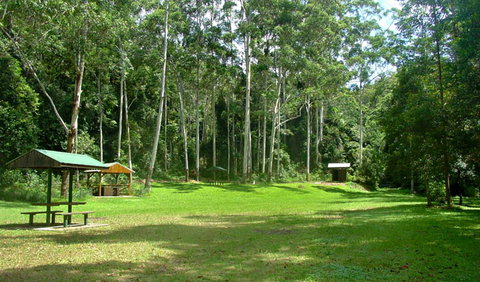 Woolgoolga Creek Picnic Area - Foster Accommodation 0