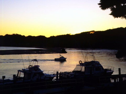 Apex Park Picnic Area Narooma - Foster Accommodation 2