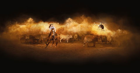 Australian Outback Spectacular's Heartland - Foster Accommodation 2