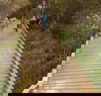 Balcombe Creek Estuary Boardwalk - Foster Accommodation