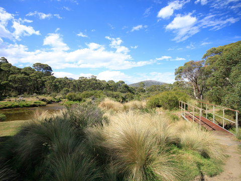 Bullocks Walking Track - Foster Accommodation 0