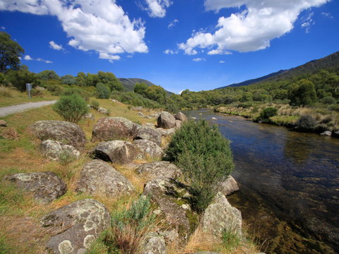 Bullocks Walking Track - Foster Accommodation 1