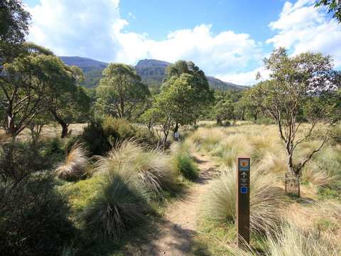 Bullocks Walking Track - Foster Accommodation 2