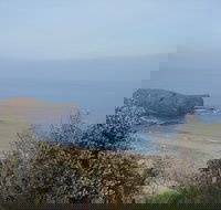 Bushrangers Bay - Foster Accommodation