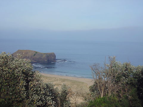 Bushrangers Bay - Foster Accommodation 0