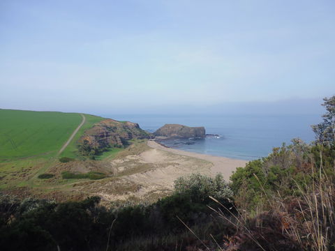 Bushrangers Bay - Foster Accommodation 1