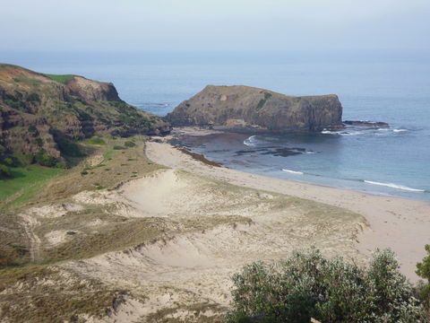 Bushrangers Bay - Foster Accommodation 2
