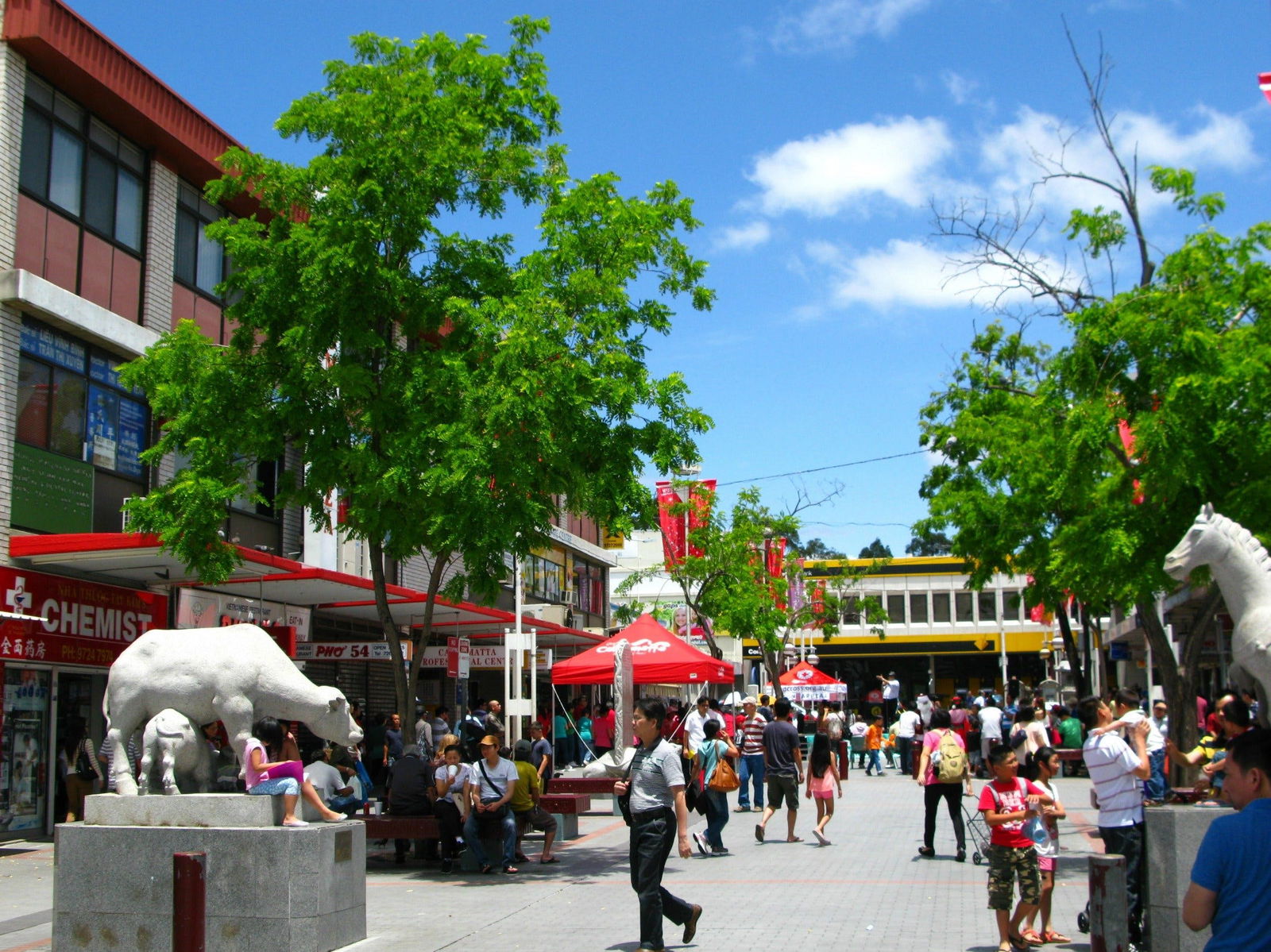 Cabramatta NSW Foster Accommodation