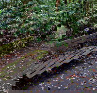 Coombadjha Nature Stroll - Foster Accommodation