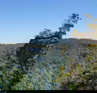 Cooks Nose Walking Track - Foster Accommodation