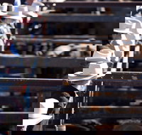 Dalby - Foster Accommodation