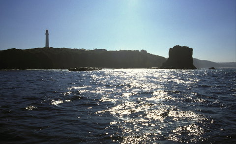 Eagle Rock Marine Sanctuary - Foster Accommodation 2