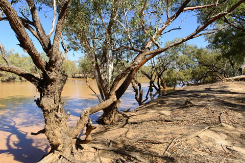 Eulo Five Mile Waterhole - Foster Accommodation 0