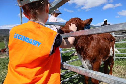Farm Visit  Dungog - Foster Accommodation 0