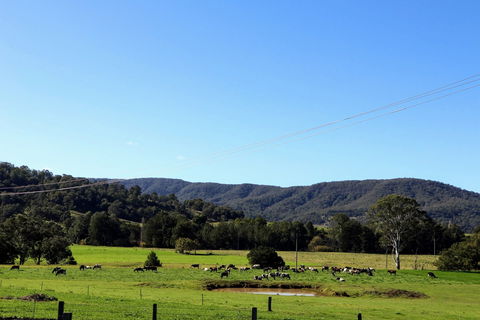 Farm Visit  Dungog - Foster Accommodation 1