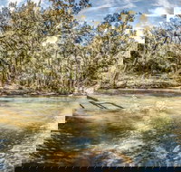 Flea Creek Picnic Area - Foster Accommodation