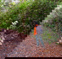 Gibraltar-Washpool World Heritage Walk - Foster Accommodation