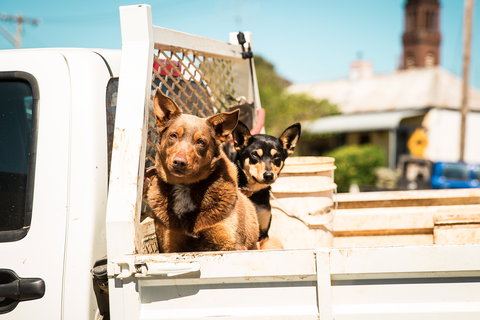Harden Murrumburrah - Foster Accommodation 0