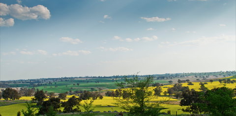 Harden Murrumburrah - Foster Accommodation 1