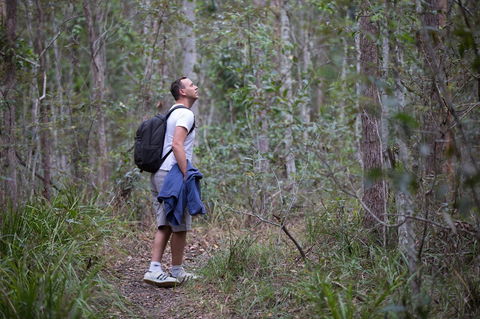 Ironbark Ridge And Spotted Gum Walking Trails - Foster Accommodation 2