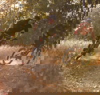 Kholo Gardens Trails - Foster Accommodation