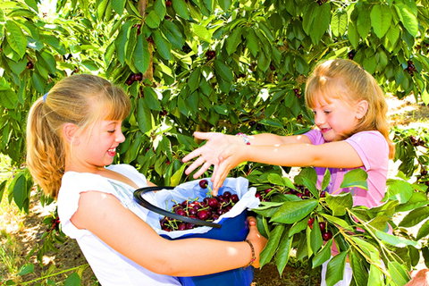 Kingsvale - Foster Accommodation 0