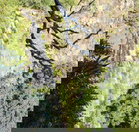 Morans Falls track Lamington National Park - Foster Accommodation