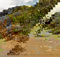 Mountain Biking Trails - Foster Accommodation