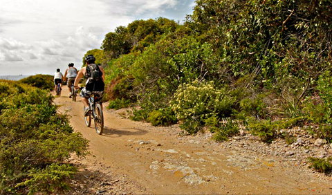 Mountain Biking Trails - Foster Accommodation 0