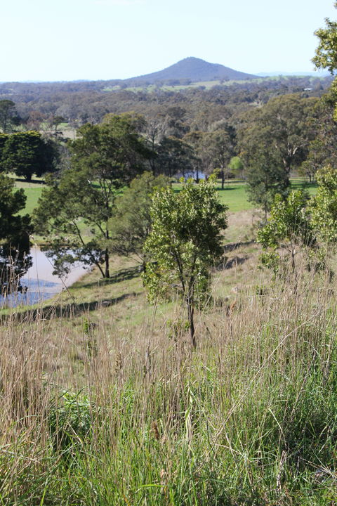 Mt Piper Nature Conservation Reserve - Foster Accommodation 1