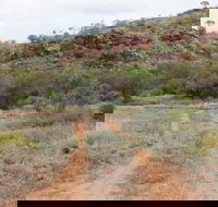 Original Glen Helen Homestead - Foster Accommodation